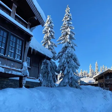 Designerlodge I Med Opplevelser Aret Rundt تريسيل